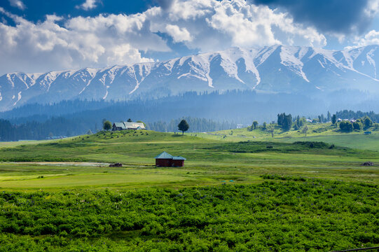 Gulmarg