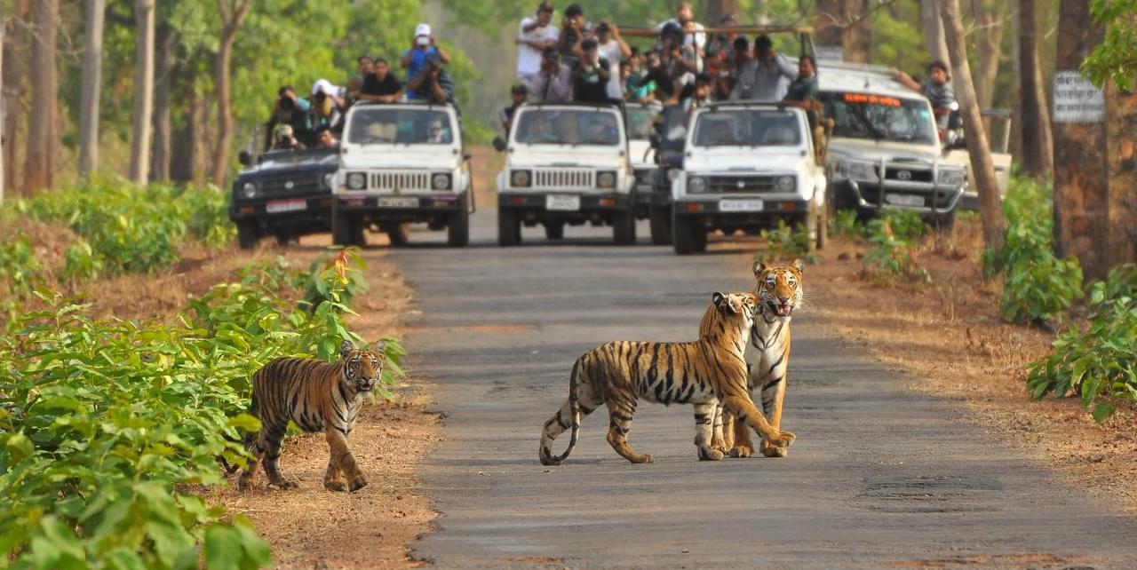 JIm Corbett National Park