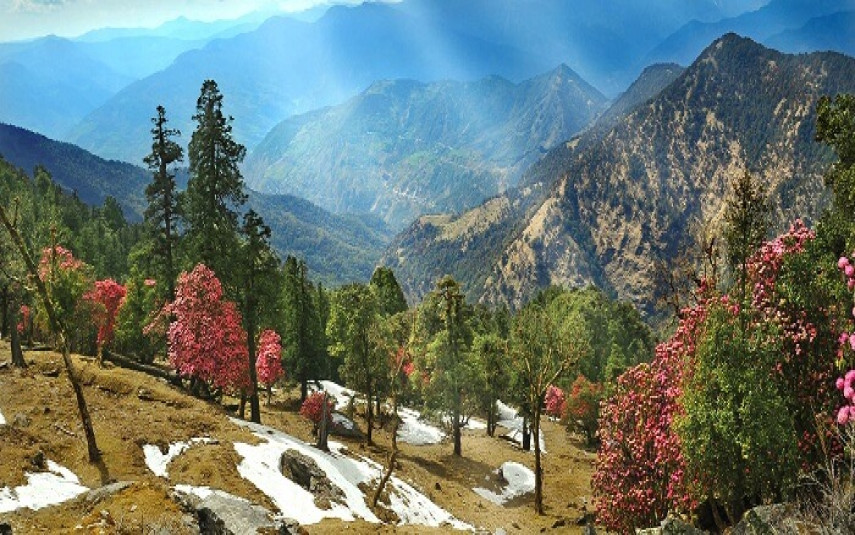 Uttarakhand Tour Package from Delhi